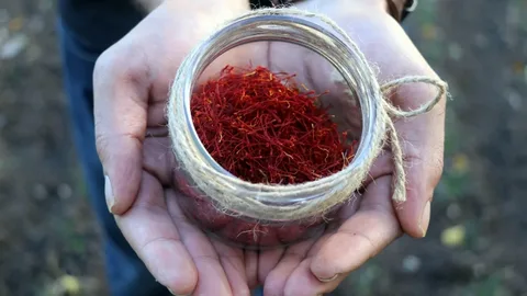 تصویر 3 از زعفران ممتاز صادراتی با رنگ‌ دهی عالی و ماندگاری بالا